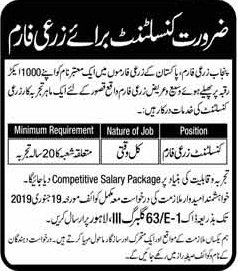 Punjab Agricultural Farm Lahore Jobs For Consultant Career