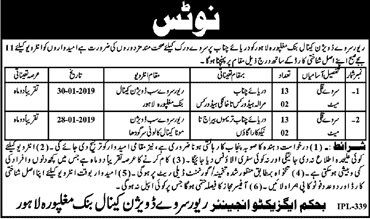 River Survey Division Lahore Jobs For Survey Quli Mate